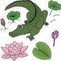 Cartoon vector alligator, lily flowers, leaves. Colorful clipart crocodile in the swamp Royalty Free Stock Photo