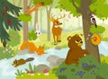 Cartoon vector animals that live in the forest.