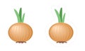 Cartoon vector bulb onion icon for kids gardening or farming game