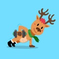 Cartoon vector christmas reindeer character doing dumbbell weight training Royalty Free Stock Photo