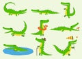 Cartoon vector crocodiles characters different green zoo animals. Cute crocodile funny animal with bath toy and big