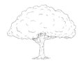 Cartoon Vector Drawing of Tree Royalty Free Stock Photo
