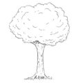 Cartoon Vector Drawing of Tree Royalty Free Stock Photo