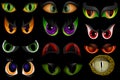 Cartoon vector eyes beast devil monster animals eyeballs of angry or scary expressions evil eyebrow and eyelashes on Royalty Free Stock Photo