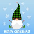 Cartoon vector gnome in sunglasses with plaid hat. Quote Merry Christmas