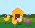 Cartoon vector icon of bright red chicken coop, fresh eggs in the nest Royalty Free Stock Photo