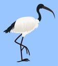 Cartoon vector icon of ibis bird isolated on blue