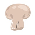 Cartoon vector icon illustration of mushroom champignon. Fresh cartoon organic mushroom isolated on white background Royalty Free Stock Photo