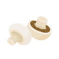 Cartoon vector icon illustration of mushroom champignon isolated on white Royalty Free Stock Photo