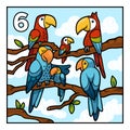 Cartoon illustration for children. Six parrots