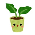 Cartoon vector illustration, Cute houseplant in a pot