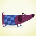 Cartoon Vector Illustration of Cute Purebred Dachshund Dog in sweater