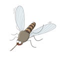 Cartoon vector illustration of flying mosquito Royalty Free Stock Photo