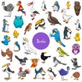 Cartoon birds animal characters big set Royalty Free Stock Photo