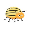 Cartoon Vector Illustration of Funny Colorado Potato Beetle Insect Character