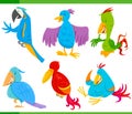 Colorful birds cartoon characters set Royalty Free Stock Photo