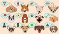 Cartoon Vector Illustration of Funny Dogs Expressing Emotions. Funny Mixed Breed dogs with Speech Bubble. Dog Brain Thinking.