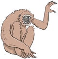 Gibbon ape cartoon wild animal character