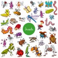 Cartoon insects animal characters big set