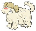 Shaggy sheep dog cartoon character