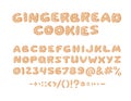 Cartoon vector illustration Ginger bread Cookies. Hand drawn Christmas font. Actual Creative Holidays bake alphabet