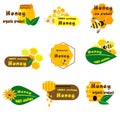 Bee, wasp, honey in flat style. Vector illustration logo