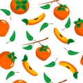 Cartoon vector illustration of persimmon on white background. In flat style illustration Royalty Free Stock Photo