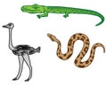 Cartoon vector illustration, set of 3 items collection of African animals crocodile, python, ostrich in ethno style on a Royalty Free Stock Photo