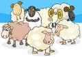 Sheep and rams group cartoon illustration