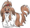 Shih Tzu purebred dog cartoon illustration