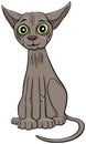 Funny sphynx cat cartoon animal character