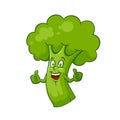 Cartoon vector illustration stalk smiling broccoli thumb up