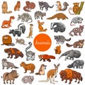 Wild mammals animal characters big set Royalty Free Stock Photo