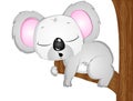 Cartoon Vector Koala Bear Sleeping. Royalty Free Stock Photo