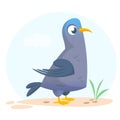Cartoon vector pigeon isolated. Icon of funny dove bird.