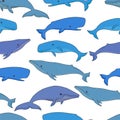 Cartoon vector sea whale and sperm whale seamless pattern. Vecto