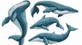 Cartoon Blue Whale Vector Set Isolated Illustration for Design Projects Royalty Free Stock Photo