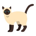 Cartoon vector siamese cat character