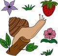 Cartoon vector snail on a branch, red strawberries, flowers and green grass. Cute snail illustration.