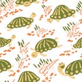 Cartoon vector turtles in the reeds seamless pattern Royalty Free Stock Photo