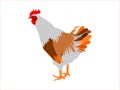Cartoon vectorial illustration of a rooster.