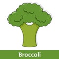 Cartoon Vegetable - Green Broccoli Royalty Free Stock Photo