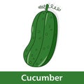 Cartoon Vegetable - Green Cucumber