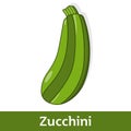 Cartoon Vegetable - Green Zucchini Royalty Free Stock Photo