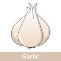 Cartoon Vegetable - White Garlic