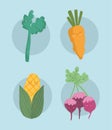 cartoon vegetables carrot celery beetroot and corn icons
