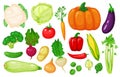 Cartoon vegetables. Carrot, corn, pepper, celery, cauliflower, broccoli, beetroot, onion, cucumber. Fresh organic Royalty Free Stock Photo