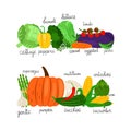 Cartoon vegetables collection vector. Fresh food market isolated on white background Royalty Free Stock Photo