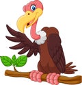 Cartoon Vulture presenting Royalty Free Stock Photo