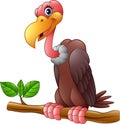 Cartoon Vulture on a tree branch Royalty Free Stock Photo